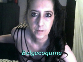 Belgecoquine