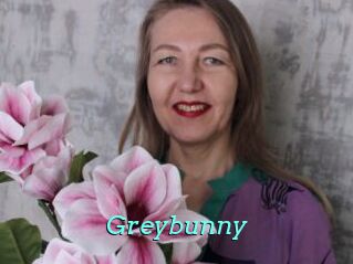 Greybunny
