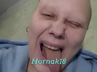 Hornak18