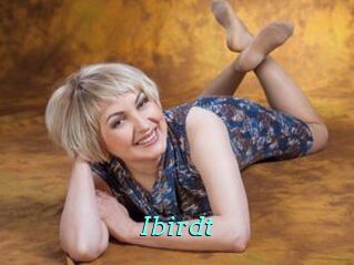 Ibirdt