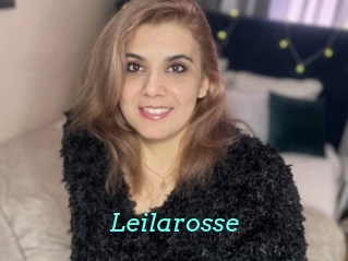 Leilarosse