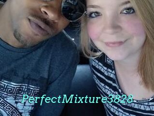 PerfectMixture3828