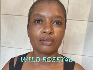WILD_ROSEY40