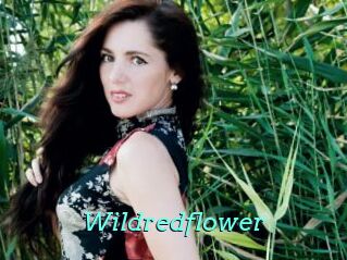 Wildredflower